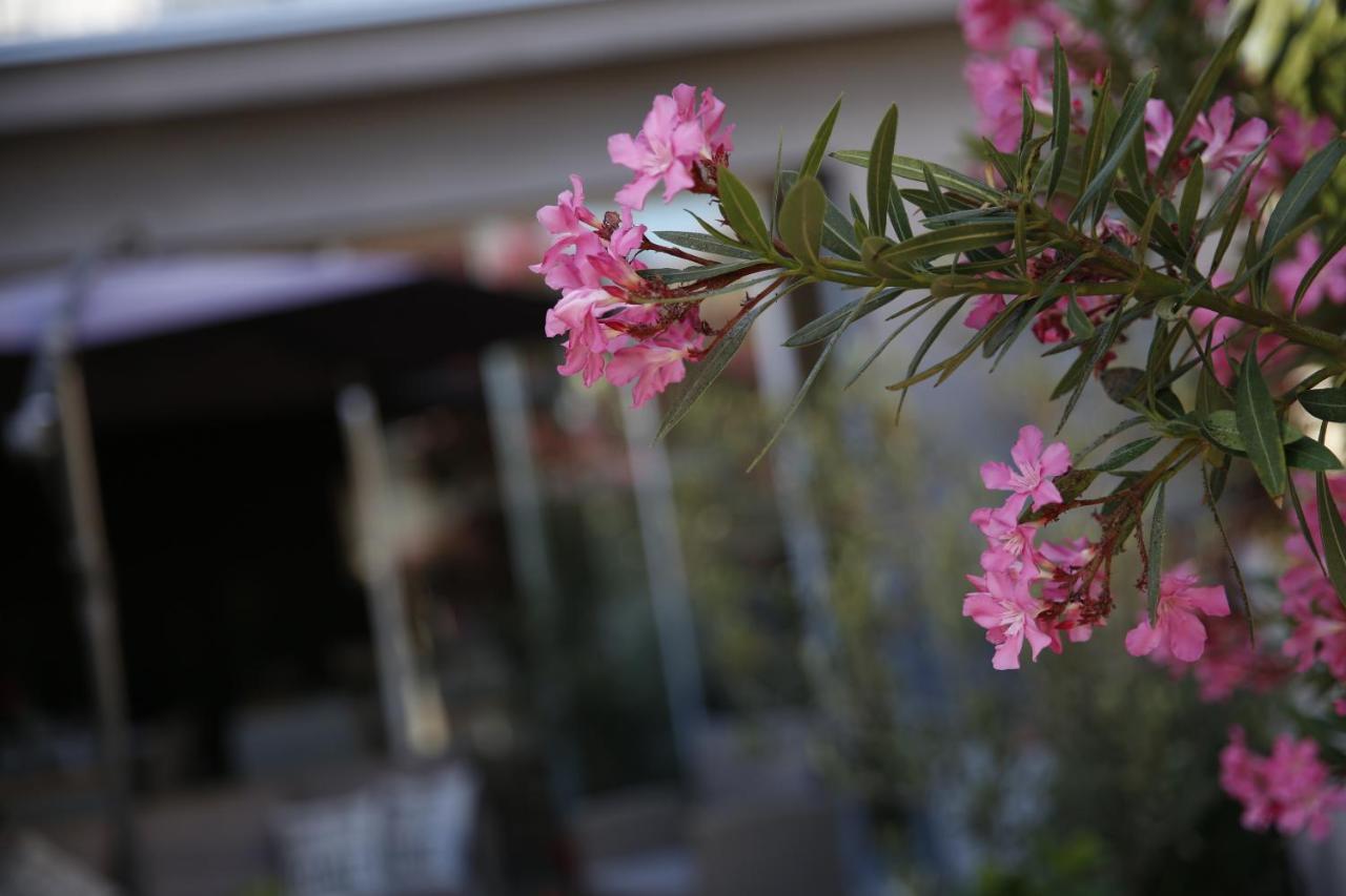Guest House Lorenta 보디체 외부 사진